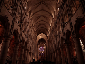 Traitement punaises de lit Laon